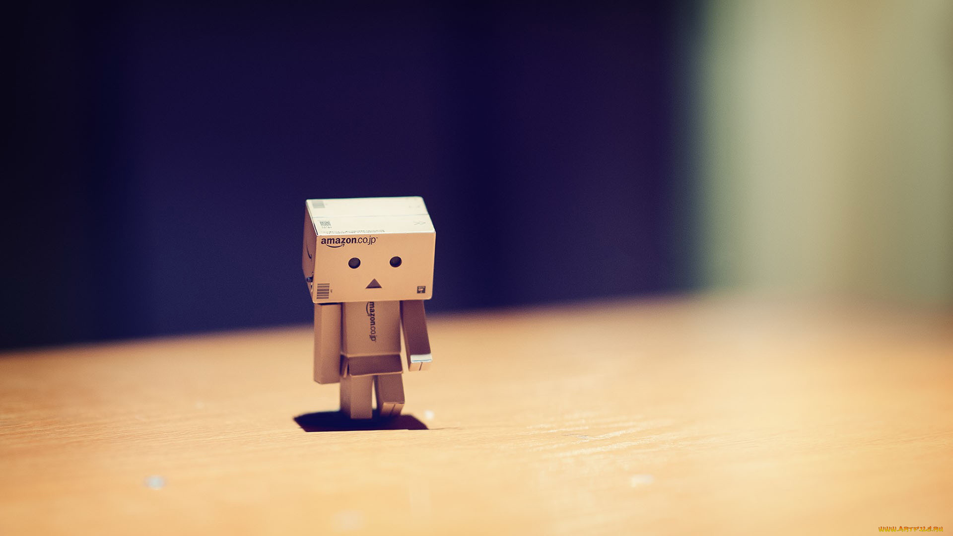 ,  , danboard, 
